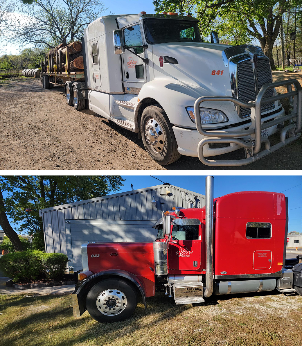 White truck with logs on trailer